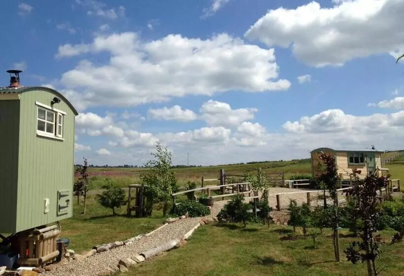 Hotelli The Buteland Stop Rosie Off Grid Shepherds Hut