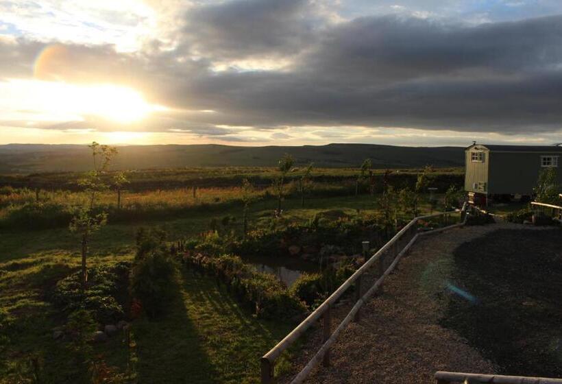 酒店 The Buteland Stop Rosie Off Grid Shepherds Hut