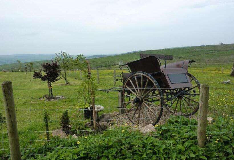 酒店 The Buteland Stop Rosie Off Grid Shepherds Hut