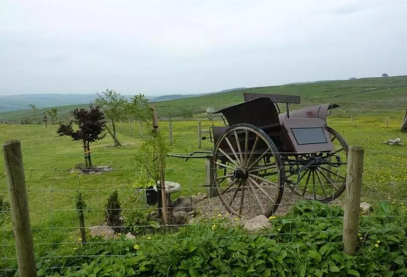 Hotelli The Buteland Stop Rosie Off Grid Shepherds Hut