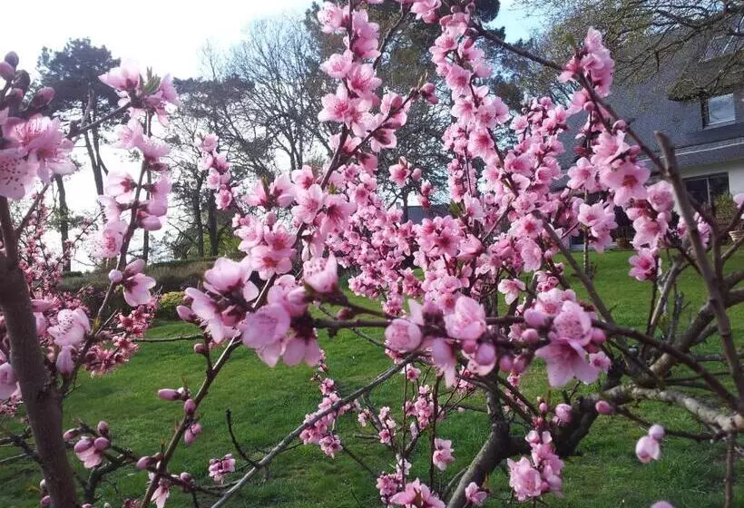 پانسیون La Vie Au Roze