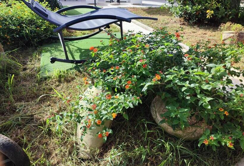 פנסיון Le Due Palme