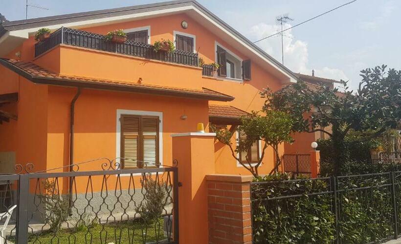 بنسيون New Life