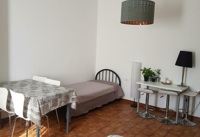 بنسيون New Life