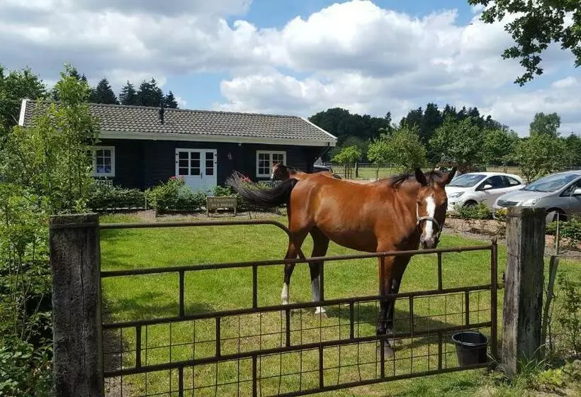 ベッドアンドブレックファースト De Priesnitzhoeve