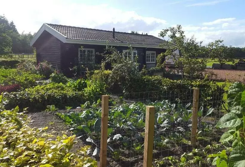 ベッドアンドブレックファースト De Priesnitzhoeve