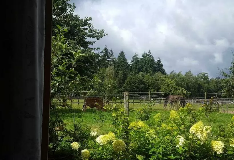 ベッドアンドブレックファースト De Priesnitzhoeve