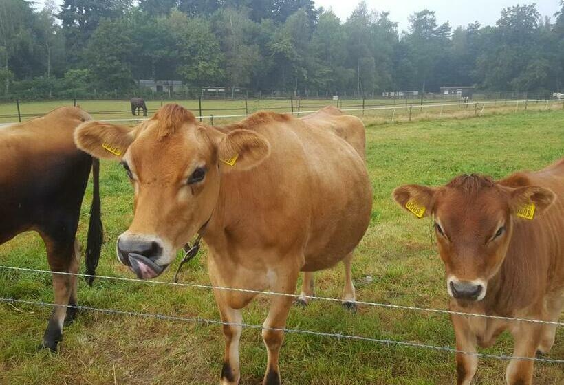 민박 De Priesnitzhoeve