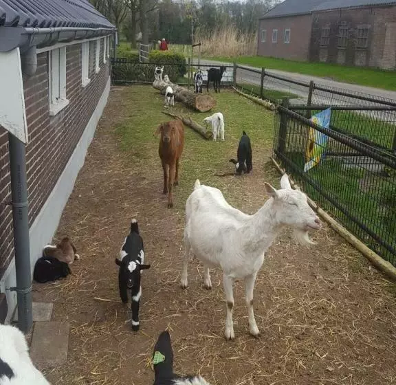 ベッドアンドブレックファースト De Priesnitzhoeve