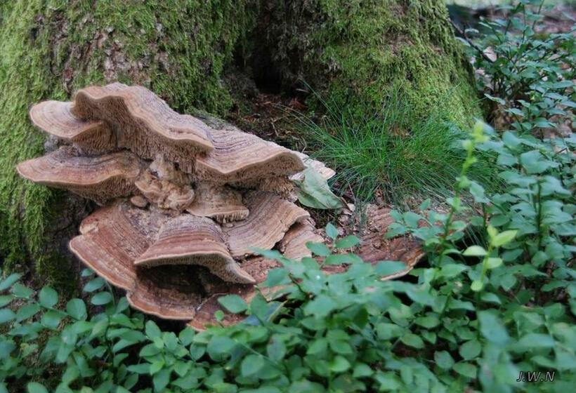 민박 De Priesnitzhoeve