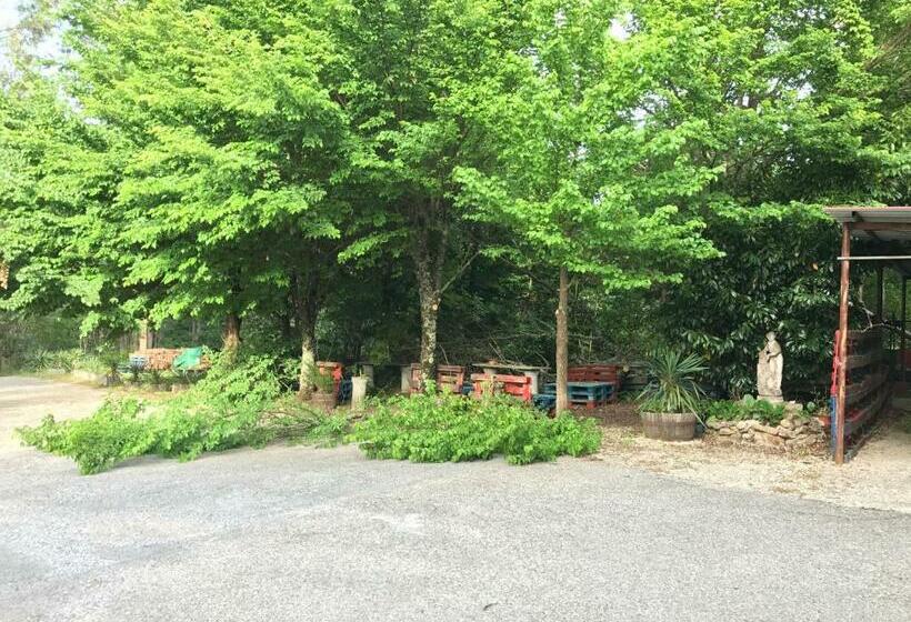 Bed and Breakfast Europa