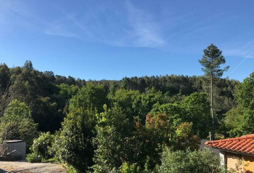 Bed and Breakfast Europa