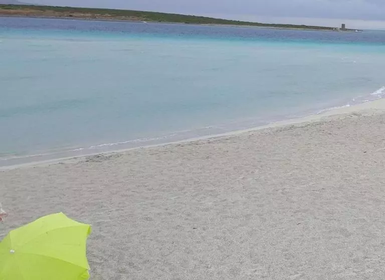 ベッドアンドブレックファースト La Mansarda