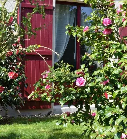 ベッドアンドブレックファースト Le Tertre Gatinais