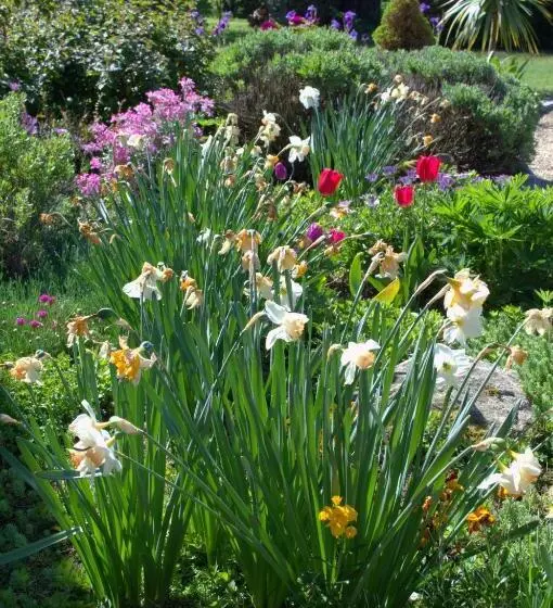 ベッドアンドブレックファースト Le Tertre Gatinais