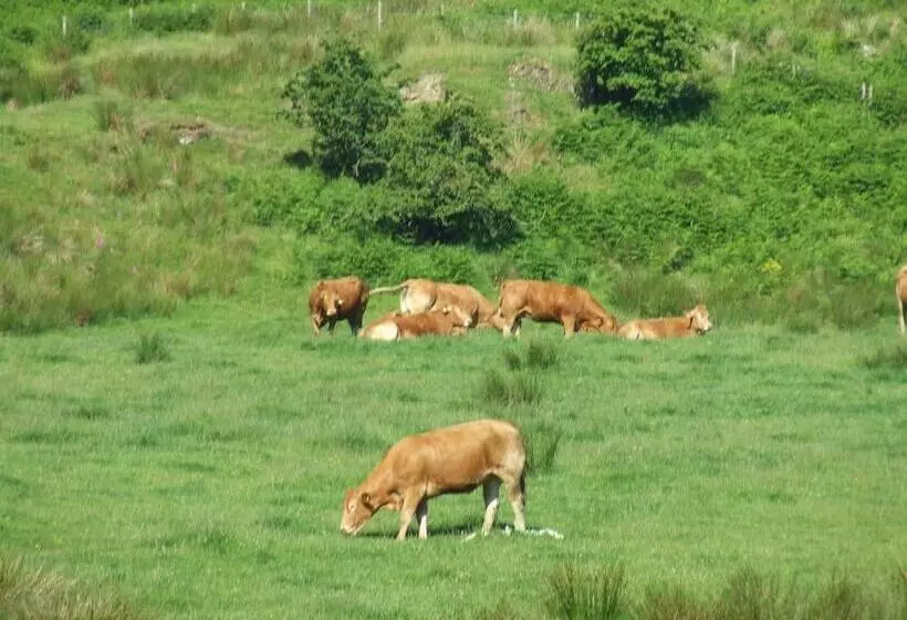 Garbhein Bed & Breakfast