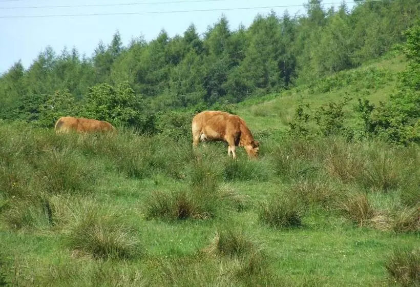 Garbhein Bed & Breakfast
