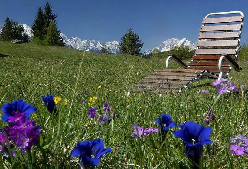 Пансион Gästehaus Alpina