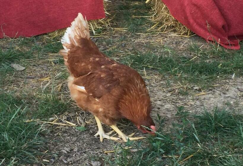 בית מלון כפרי Agriturismo Spizzirò