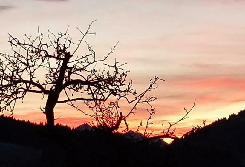 Отель Grubhof Weissenbacher