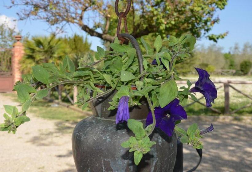 Пансион Elisabeth House