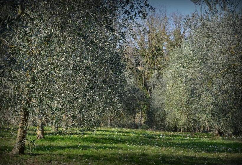 Пансион Elisabeth House