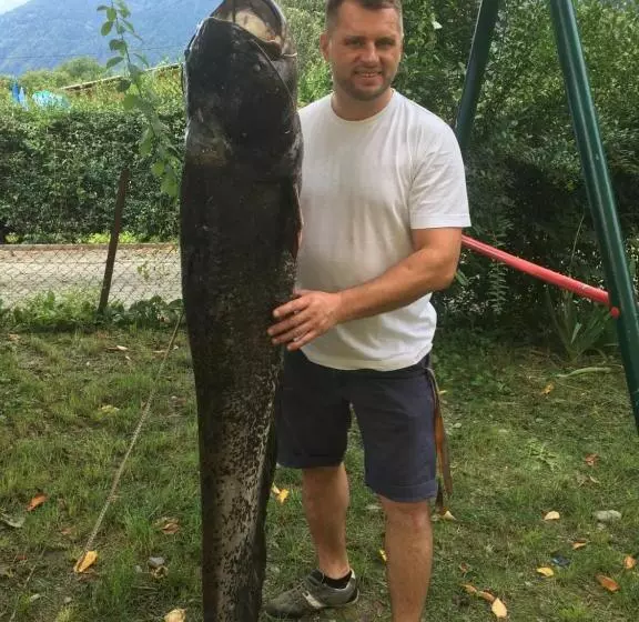 Majatalo Seerestaurant & Suiten Hayat