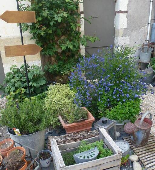 פנסיון Une Maison En Touraine