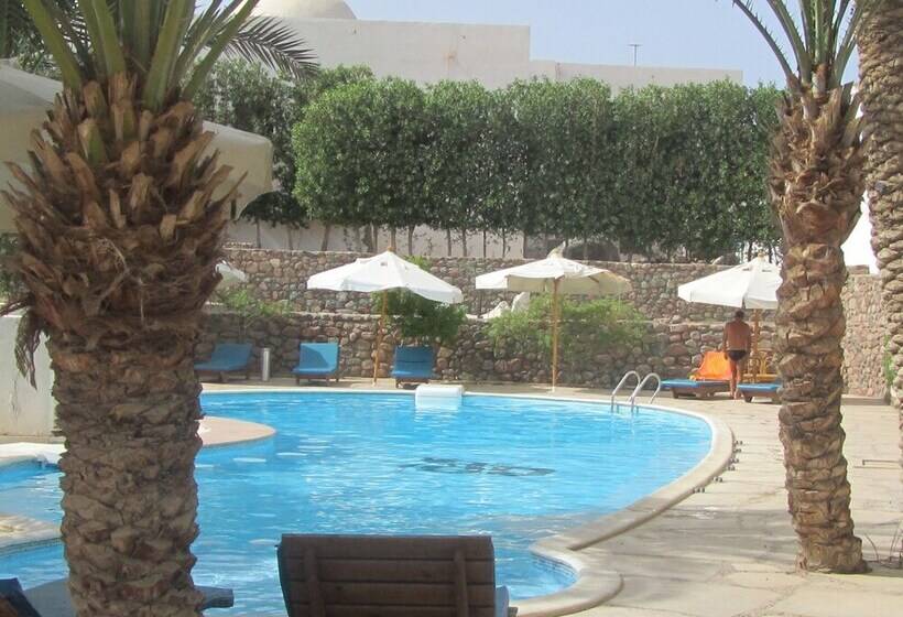 هتل Dahab Divers