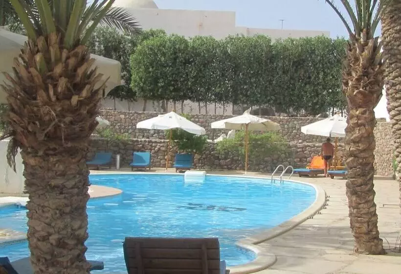 هتل Dahab Divers