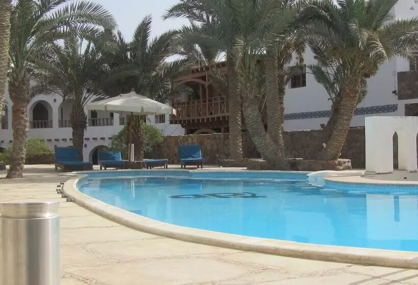 هتل Dahab Divers