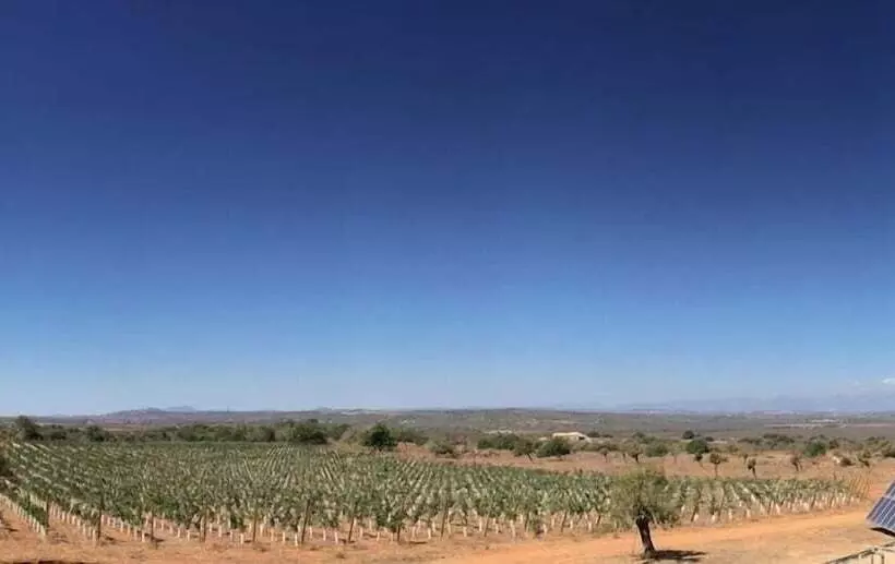 교외 호텔 Sos Ferres D En Morey