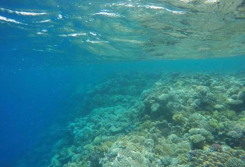 هتل Star Of Dahab