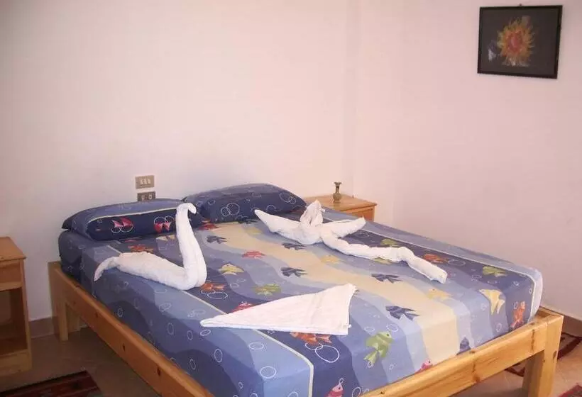 هتل Star Of Dahab