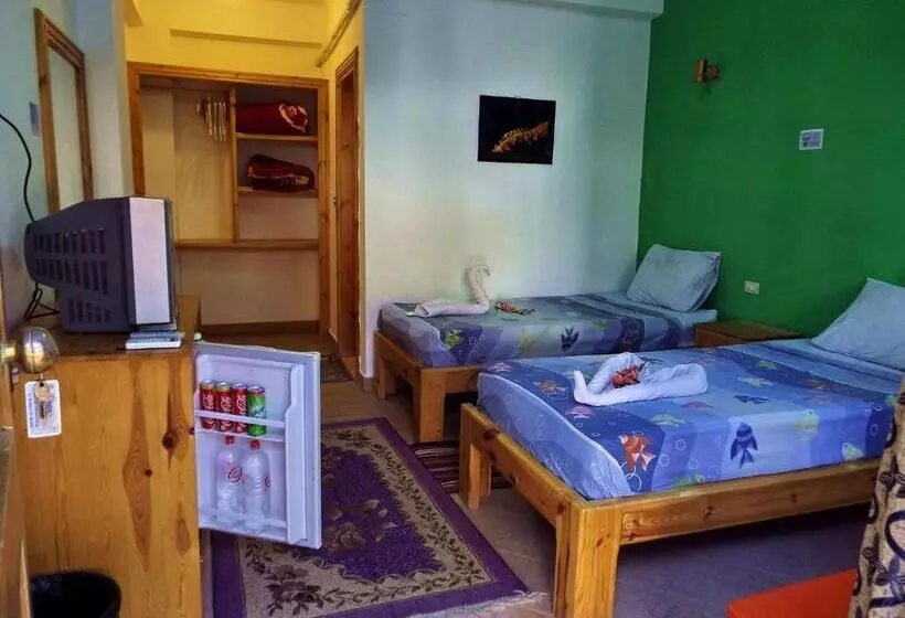 هتل Star Of Dahab