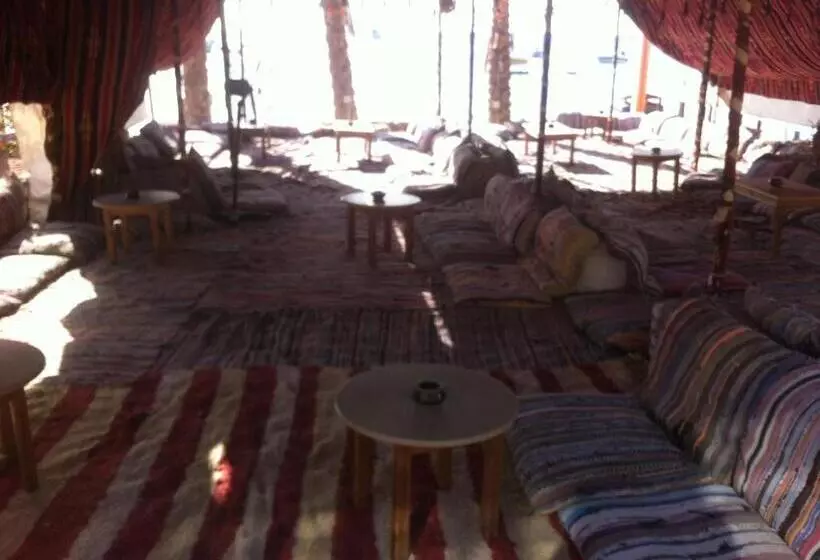 Sharks Bay Oasis