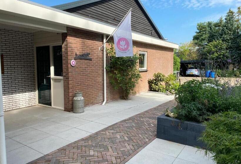 צימר De Drie Berken