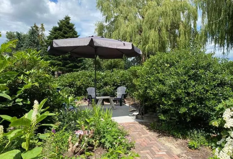 Bed and Breakfast De Drie Berken