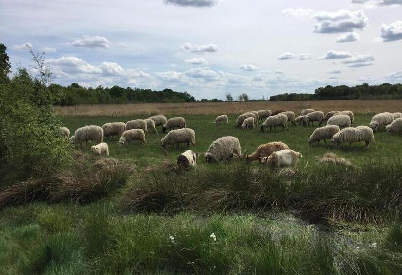 צימר De Drie Berken