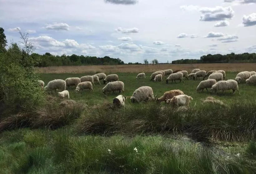 Bed and Breakfast De Drie Berken