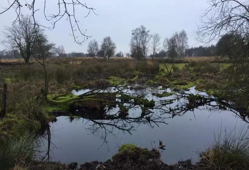 Bed and Breakfast De Drie Berken