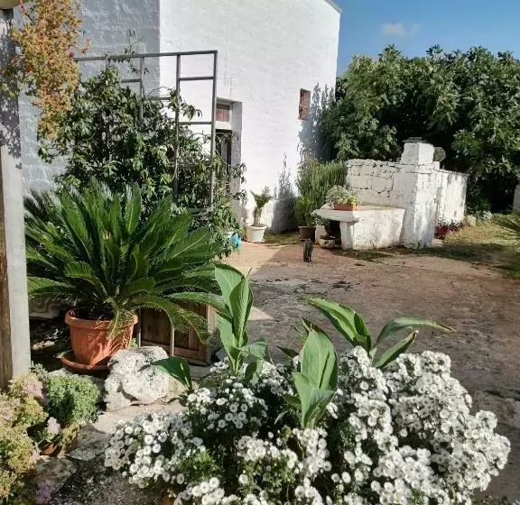 ベッドアンドブレックファースト Trulli La Casa Di Rosa