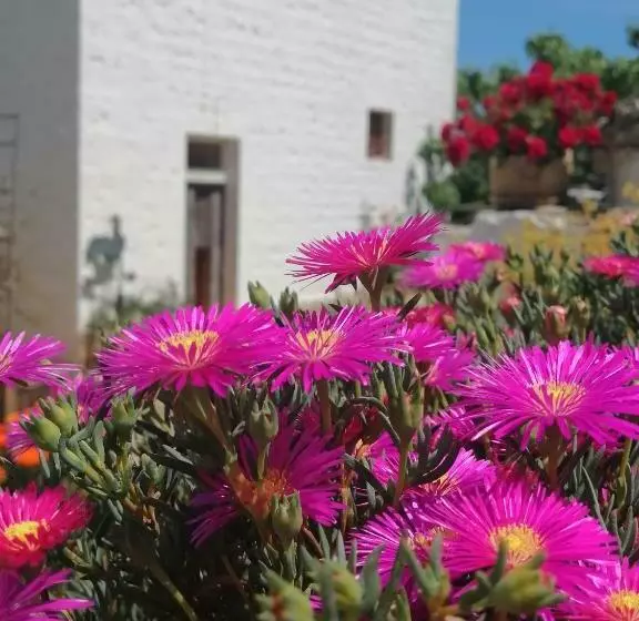 ベッドアンドブレックファースト Trulli La Casa Di Rosa