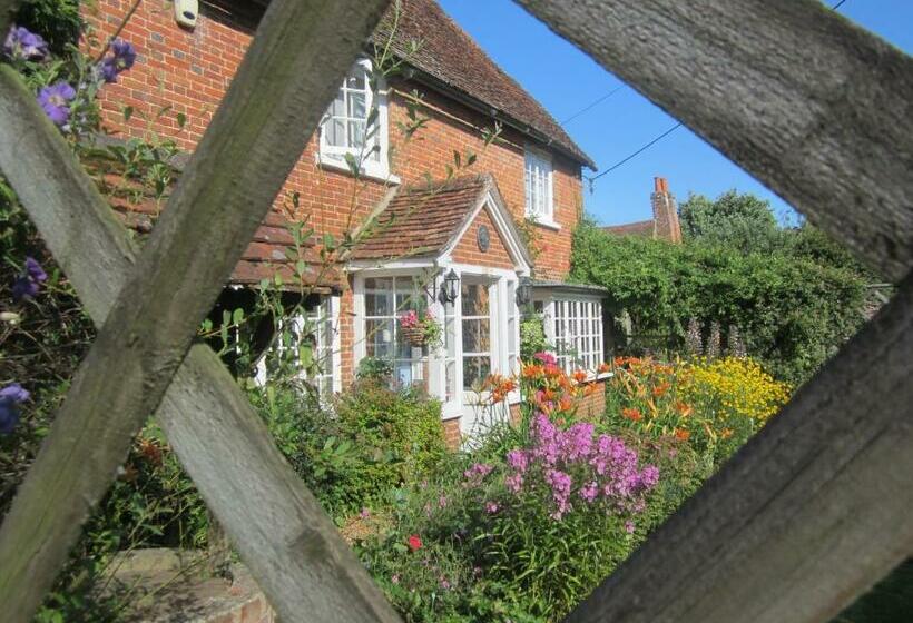 مبيت وإفطار Vine Cottage