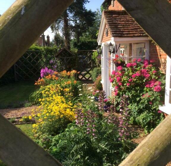 مبيت وإفطار Vine Cottage