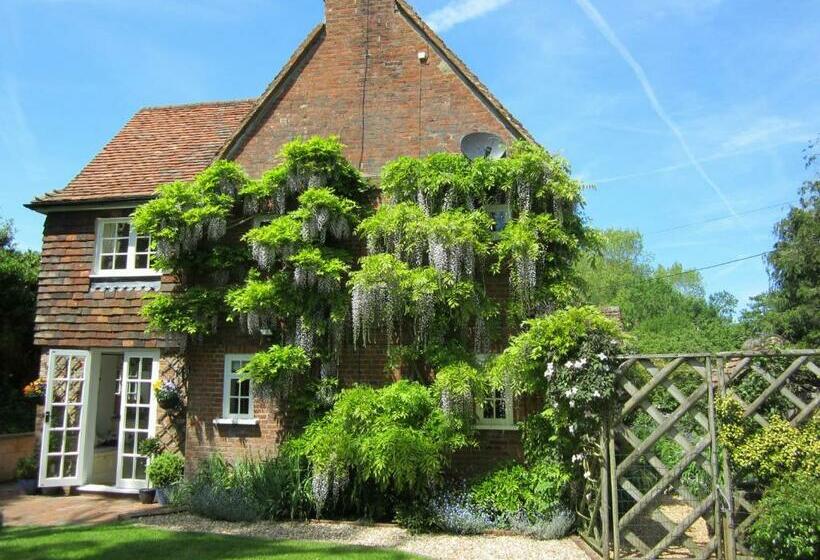 مبيت وإفطار Vine Cottage