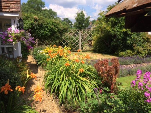 مبيت وإفطار Vine Cottage