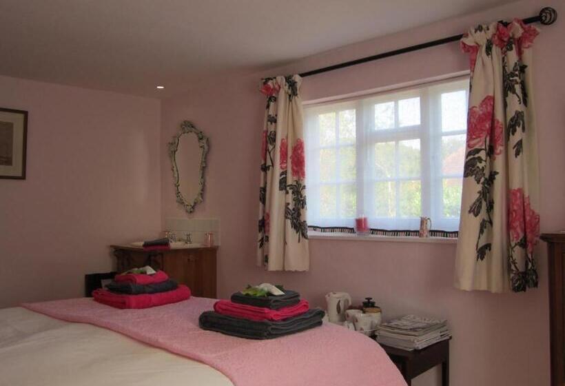 مبيت وإفطار Vine Cottage