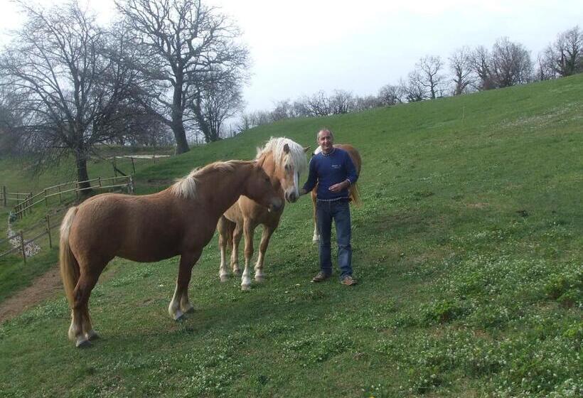 בית מלון כפרי Agriturismo Lusani