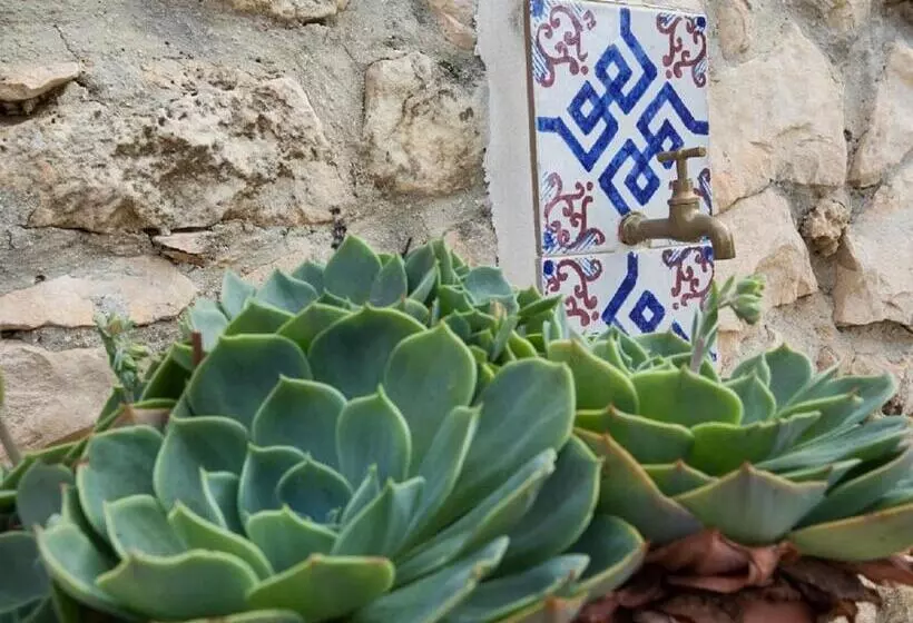 ホテル Agriturismo Villa Flavia